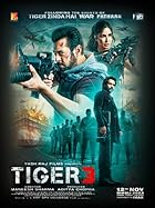  Tiger 3 2023 2023 Movie Download 480p 720p 1080p FilmyZilla