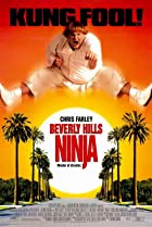 Beverly Hills Ninja 1997 Hindi Dubbed 480p 720p 