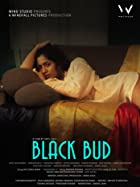 Black Bud 2021 Full Movie Download 