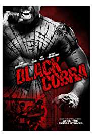 Black Cobra 2012 Dual Audio Hindi 480p 300MB 