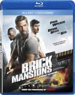 Brick Mansions 2014 Dual Audio Hindi 480p 