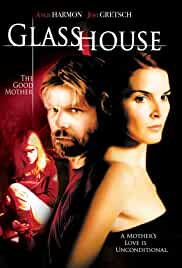 Glass House The Good Mother 2006 Dual Audio Hindi 480p 