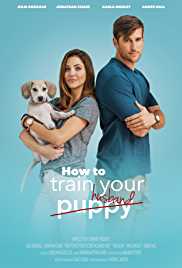 How To Train Your Husband 2017 Hindi Dubbed 
