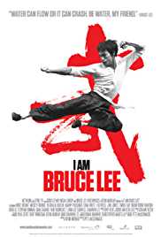 I Am Bruce Lee 2011 Dual Audio Hindi 480p 300MB 