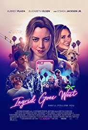 Ingrid Goes West 2017 Dual Audio Hindi 480p 300MB 