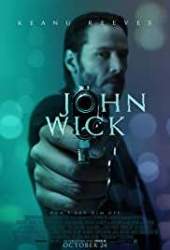 John Wick 2014 Hindi Dubbed 480p 720p 1080p  Filmyzilla
