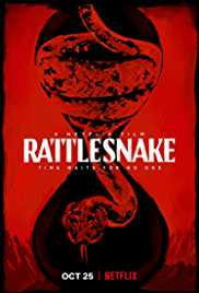 Rattlesnake 2019 Dual Audio Hindi 480p 300MB 