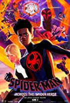 Spider Man Across the Spider Verse 2023 Hindi Dubbed 480p 720p 1080p 