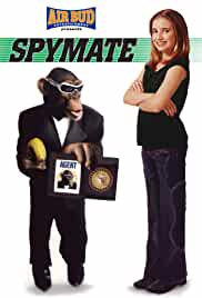 Spymate 2003 Hindi Dubbed 480p 
