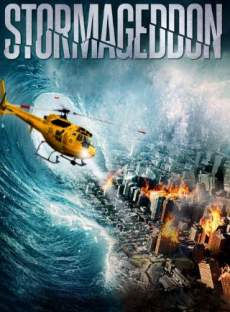 Stormageddon 2015 Dual Audio Hindi 480p 300MB 