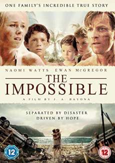 The Impossible 2012 Dual Audio Hindi 480p 300MB 