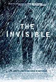 The Invisible Filmyzilla 2007 Hindi Dubbed 480p BluRay 300MB 