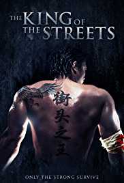 The King of the Streets 2012 Dual Audio Hindi 480p 300MB 