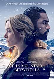 The Mountain Between Us 2017 Dual Audio Hindi 480p 