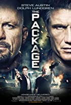 The Package 2013 Hindi Dubbed 480p 720p 