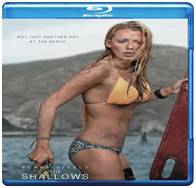 The Shallows 2016 Dual Audio 480p 300MB 