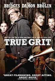 True Grit 2010 Dual Audio Hindi 480p 
