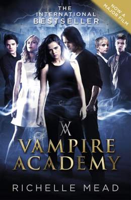 Vampire Academy 2014 Dual Audio Hindi 480p 300MB 