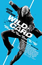 Wild Card 2015 Hindi Dubbed 480p 720p 