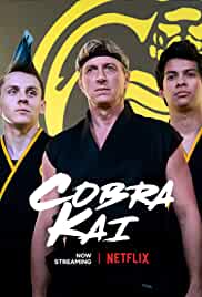 Cobra Kai All Seasons Dual Audio Hindi 480p 720p HD Download 