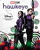 Hawkeye All Seasons Hindi 480p 720p HD Download  Filmyzilla 