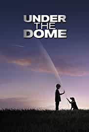 Under the Dome All Seasons Dual Audio Hindi 480p 720p HD Download 